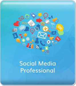 5. Social Media Professional