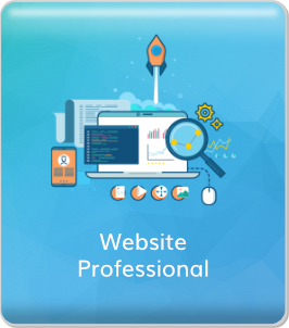 7. Website Professional