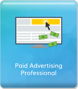 8. Paid Advertising Professional
